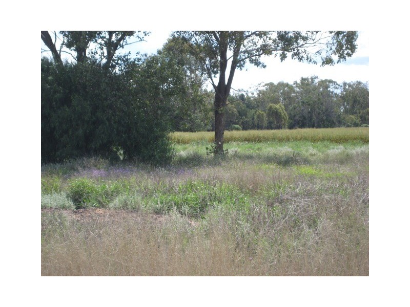 Condamine QLD 4416