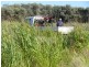 Adavale QLD 4474