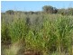Adavale QLD 4474
