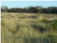 Adavale QLD 4474