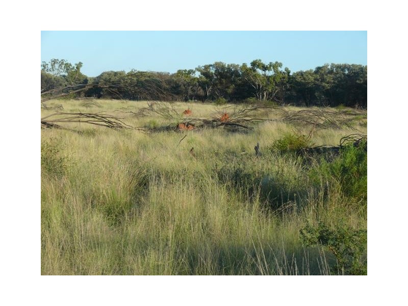 Adavale QLD 4474