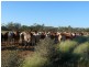 Adavale QLD 4474