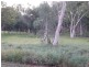 Adavale QLD 4474