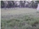 Adavale QLD 4474