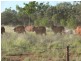 Adavale QLD 4474
