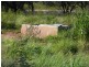 Adavale QLD 4474