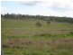 Nanango QLD 4615