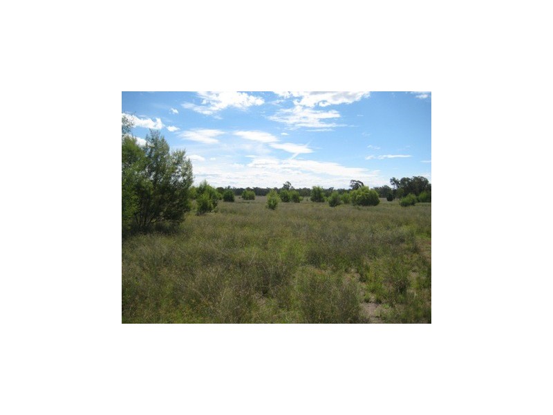 L5-8 WEEGUNNA STATION, Dalby QLD 4405