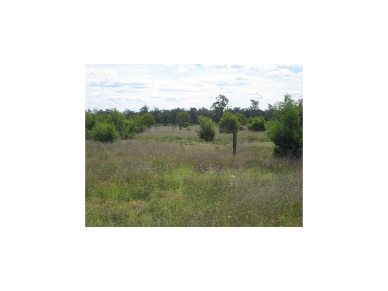 L5-8 WEEGUNNA STATION, Dalby QLD 4405