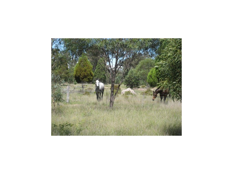 L5-8 WEEGUNNA STATION, Dalby QLD 4405