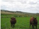 Jondaryan QLD 4403