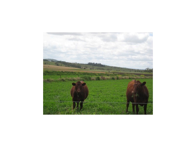 Jondaryan QLD 4403