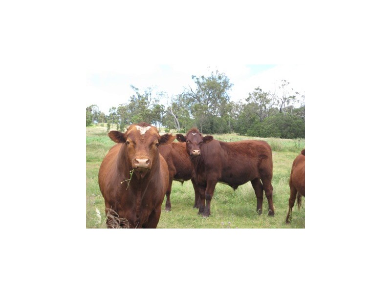 Jondaryan QLD 4403