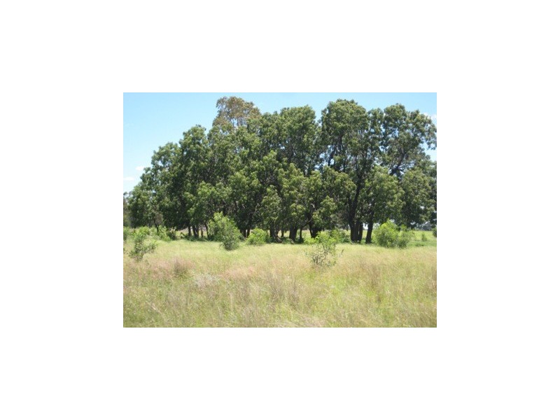 KOORINGAL 537 KOGAN RD, Tara QLD 4421