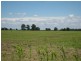KOORINGAL 537 KOGAN RD, Tara QLD 4421