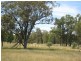 KOORINGAL 537 KOGAN RD, Tara QLD 4421