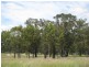 KOORINGAL 537 KOGAN RD, Tara QLD 4421