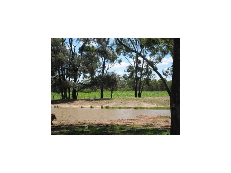 KOORINGAL 537 KOGAN RD, Tara QLD 4421