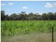 KOORINGAL 537 KOGAN RD, Tara QLD 4421