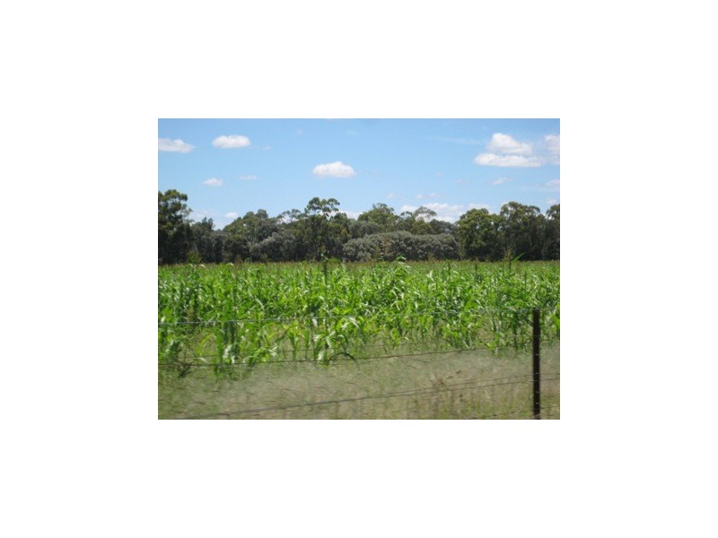 KOORINGAL 537 KOGAN RD, Tara QLD 4421