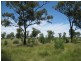 KOORINGAL 537 KOGAN RD, Tara QLD 4421