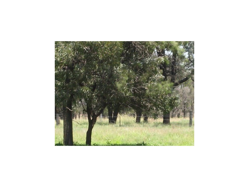KOORINGAL 537 KOGAN RD, Tara QLD 4421