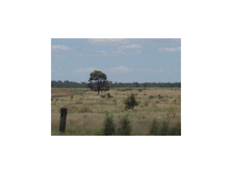 KOORINGAL 537 KOGAN RD, Tara QLD 4421