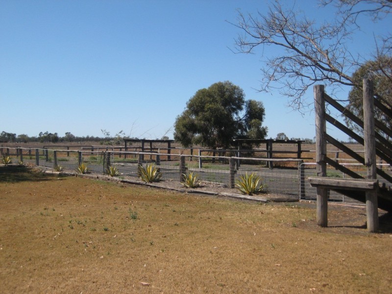 137 Sandalwood Avenue, Dalby QLD 4405
