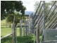 Maclagan QLD 4352