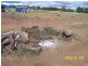 Maclagan QLD 4352