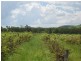Maclagan QLD 4352
