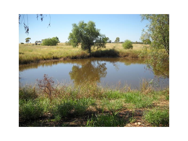 70 ALEXANDER, Surat QLD 4417