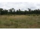 Miles QLD 4415