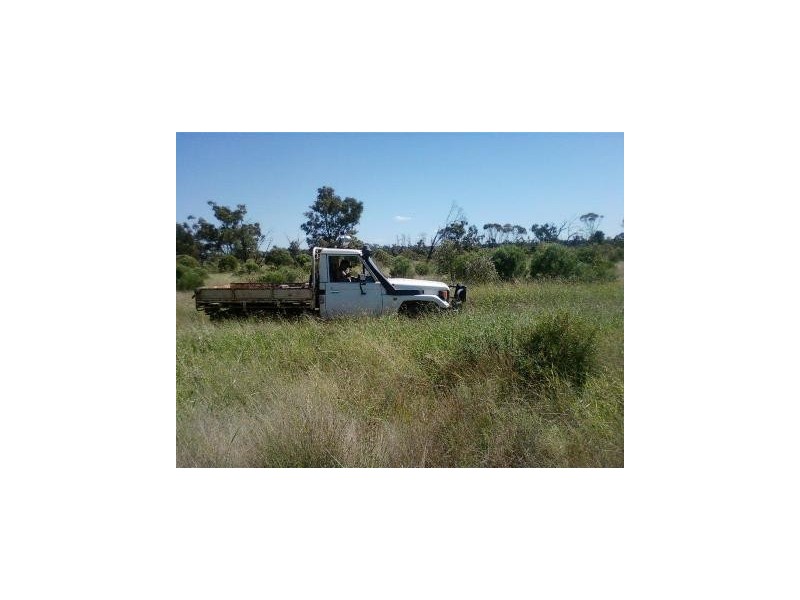 ” Charleville”, Charleville QLD 4470