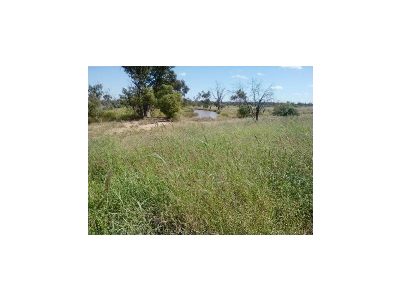 ” Charleville”, Charleville QLD 4470