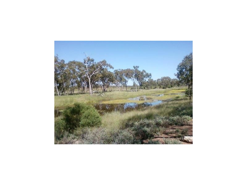 ” Charleville”, Charleville QLD 4470