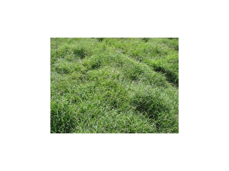 ” VALERA”, Pittsworth QLD 4356