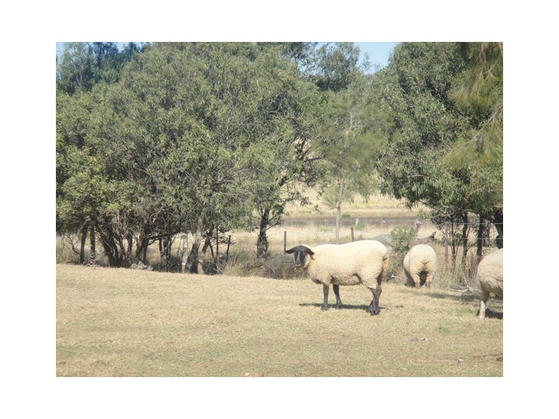 ” VALERA”, Pittsworth QLD 4356