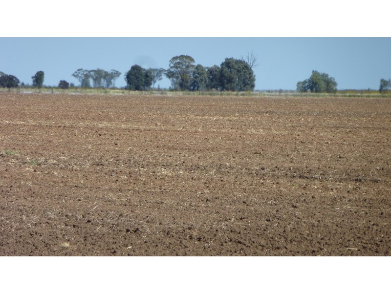 ” Gavonni “, Bowenville QLD 4404