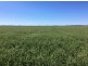 ” Gavonni “, Bowenville QLD 4404