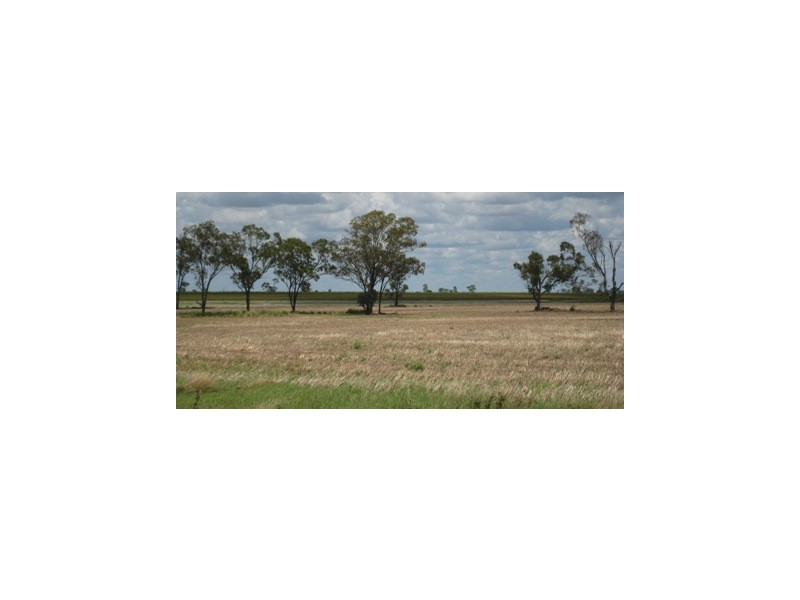 ” Gavonni “, Bowenville QLD 4404