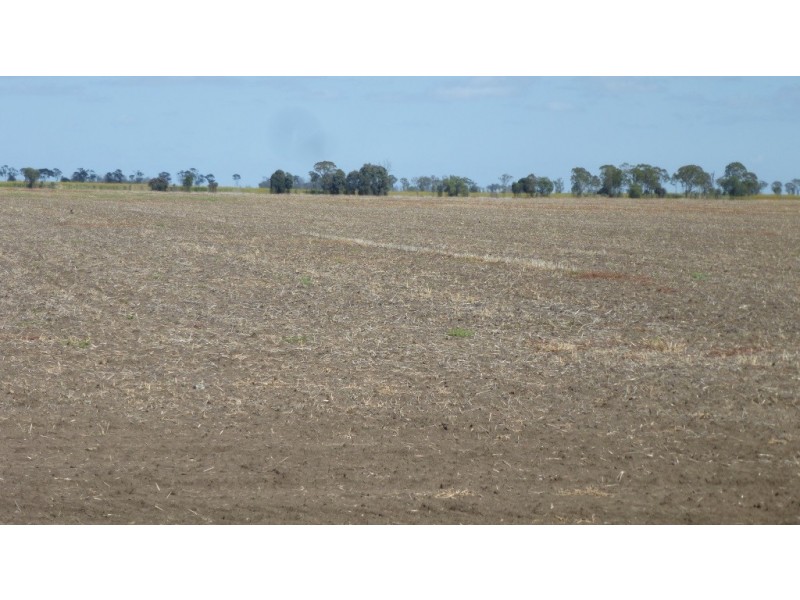 ” Gavonni “, Bowenville QLD 4404