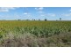 ” Gavonni “, Bowenville QLD 4404