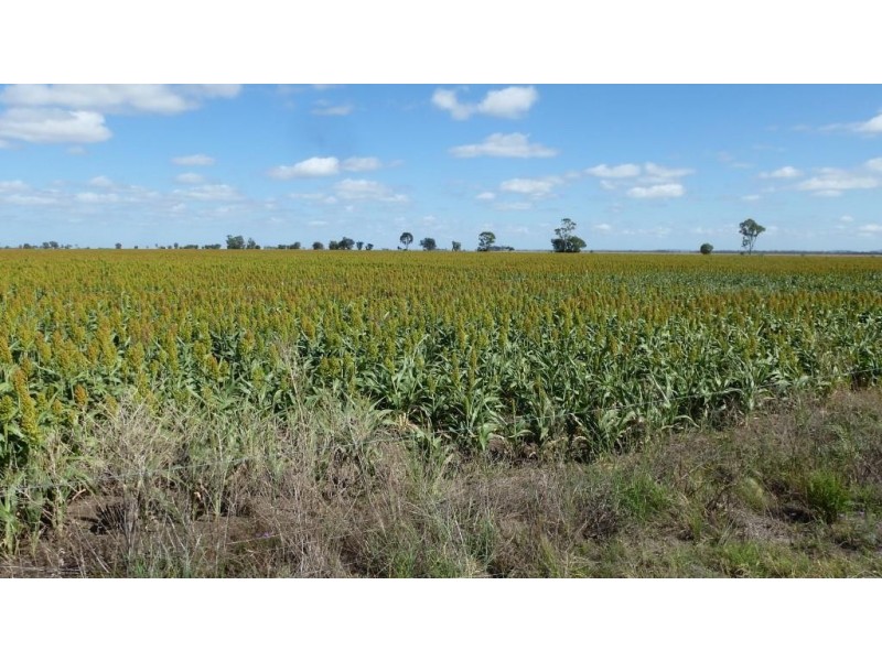 ” Gavonni “, Bowenville QLD 4404