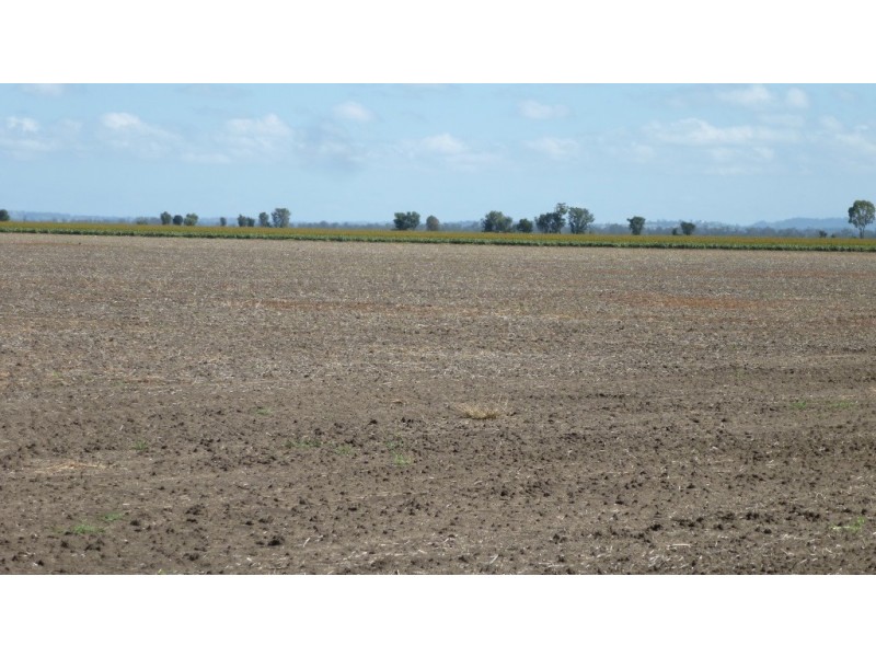 ” Gavonni “, Bowenville QLD 4404