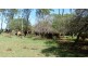 ” Gavonni “, Bowenville QLD 4404