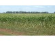 ” Gavonni “, Bowenville QLD 4404