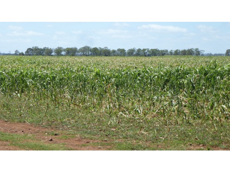 ” Gavonni “, Bowenville QLD 4404