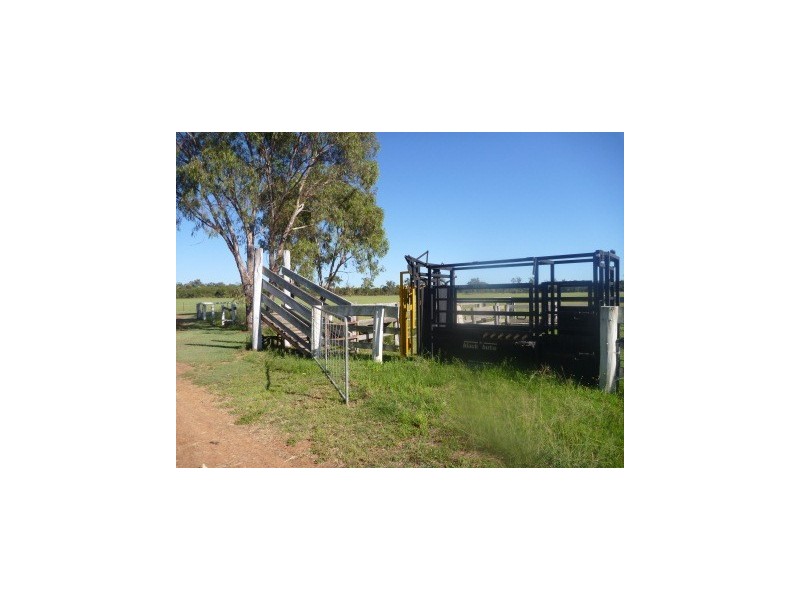 ” Allambi “, Dalby QLD 4405