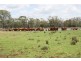 Meandarra QLD 4422